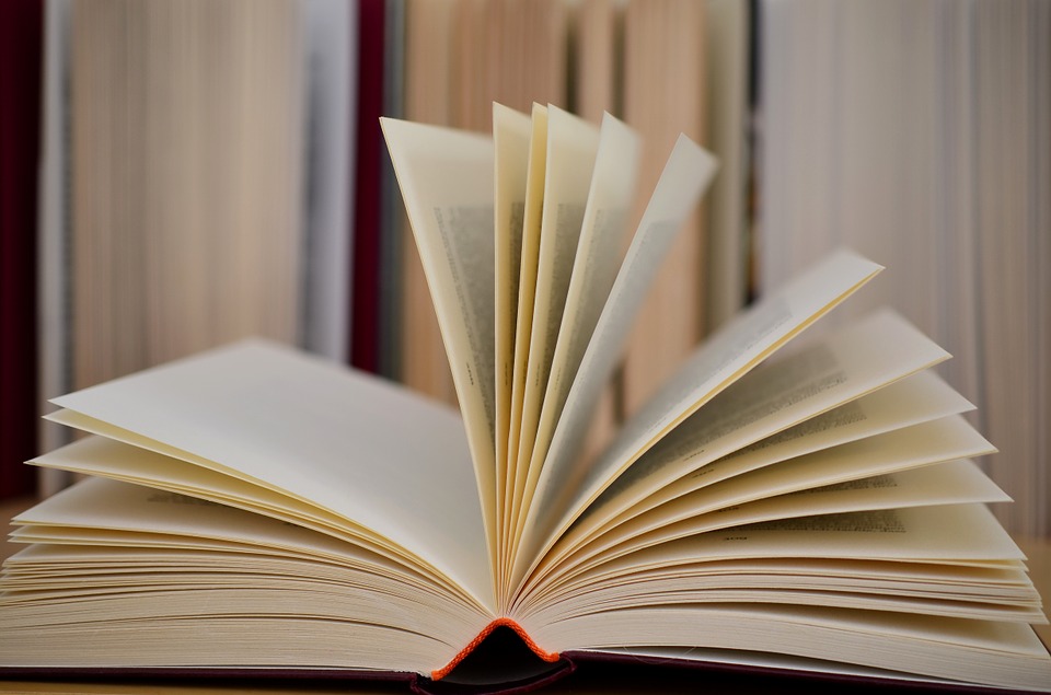 Regione Veneto: Borse di studio per A.S. 2019/2020
