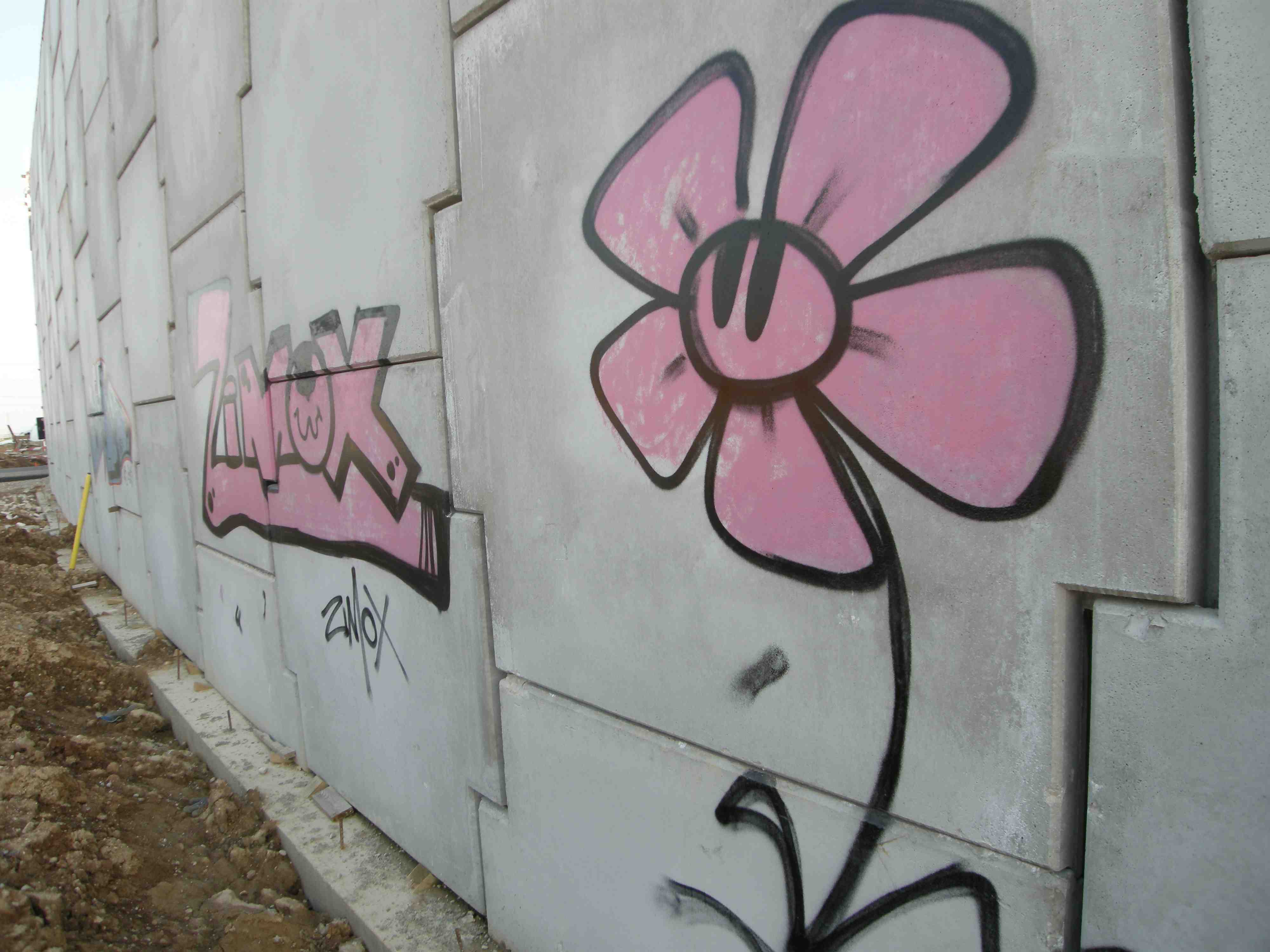 Laboratorio di street art 